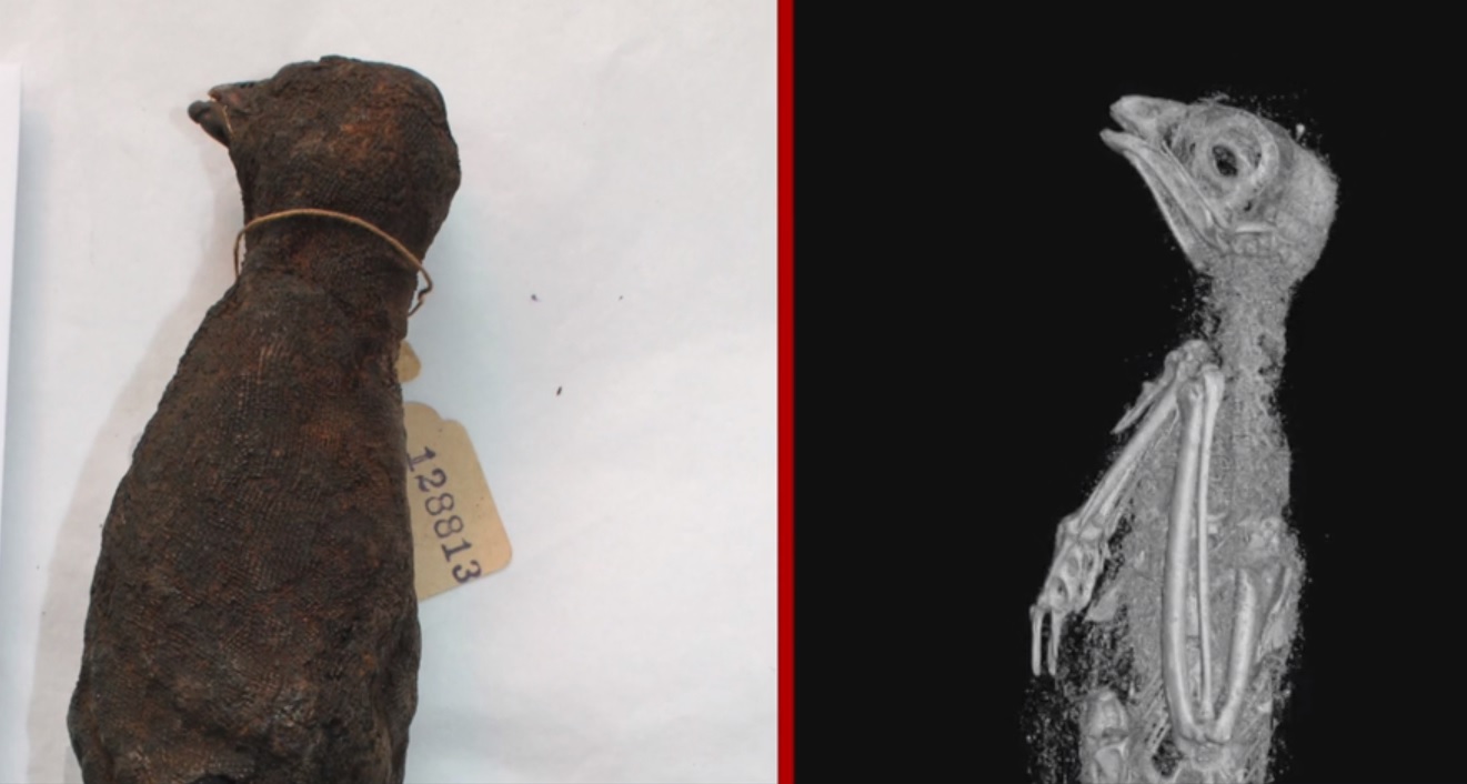 When engineering meets Ancient Egypt amazing things are found