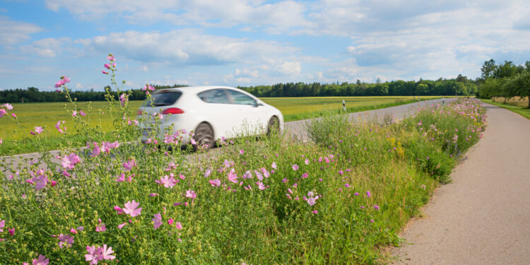 A rare opportunity to save the world has arrived