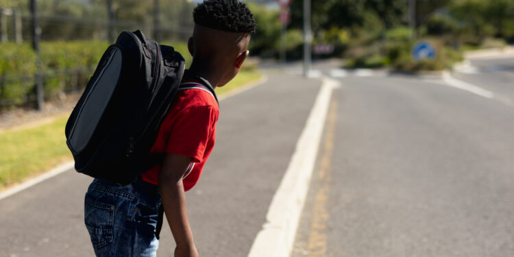 Why Pedestrians opt for Rough terrains with obstacles as opposed to Boring Pavements