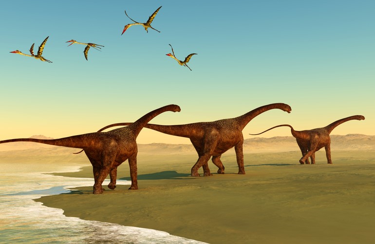 Dinosaur “booty flashing” may have been key communication, mating function