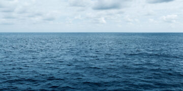 The Meteorite That Provided the Earth Water