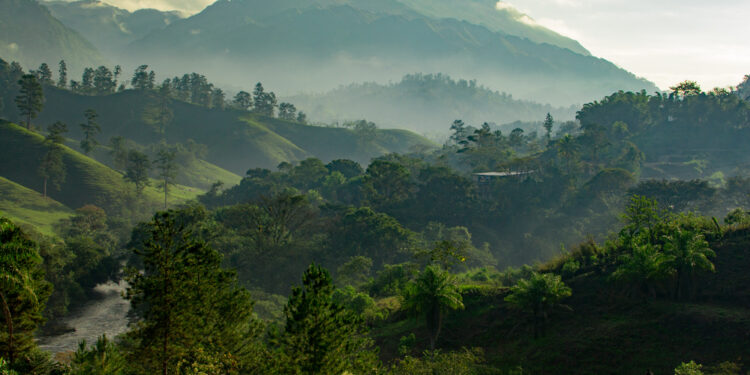 A paradigm shift on the origin of life on earth