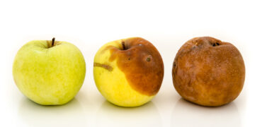 Why Do Fruits Change Colors?