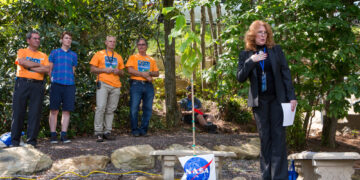 What happened to all the moon trees?