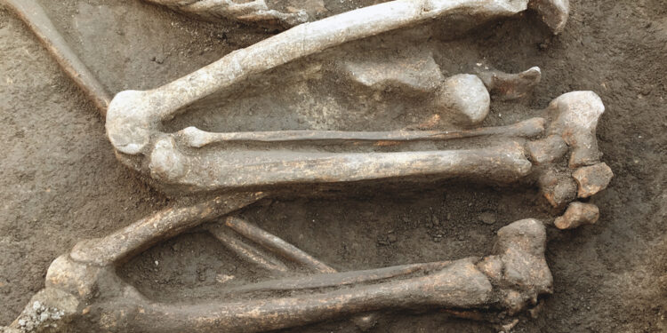 The Bones of Mad Anthony Wayne